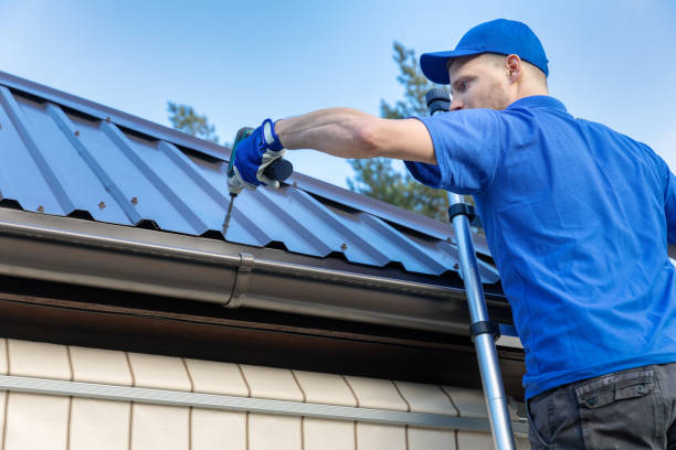 Best Skylight Installation and Repair  in Helena, MT