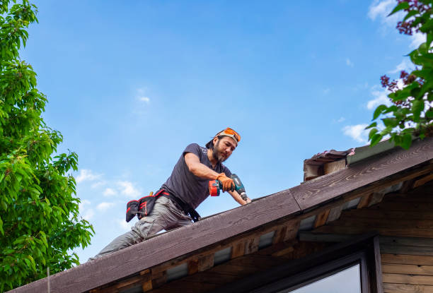 Best Roof Coating and Sealing  in Helena, MT